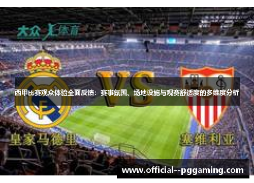 西甲比赛观众体验全面反馈：赛事氛围、场地设施与观赛舒适度的多维度分析