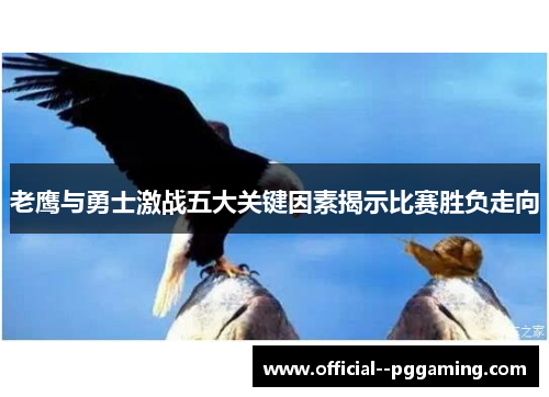 老鹰与勇士激战五大关键因素揭示比赛胜负走向