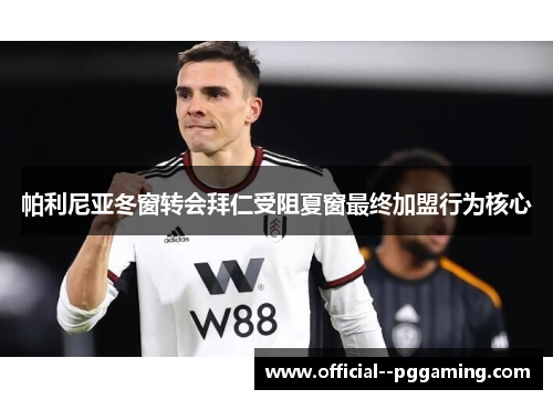 帕利尼亚冬窗转会拜仁受阻夏窗最终加盟行为核心