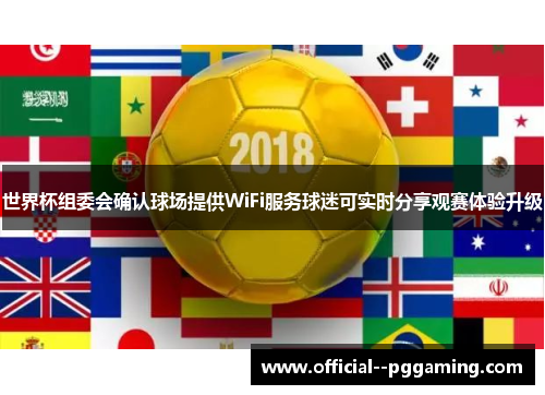 世界杯组委会确认球场提供WiFi服务球迷可实时分享观赛体验升级